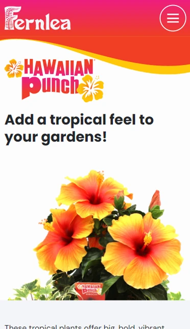 Fernlea Flowers - Website Redesign + Digital Marketing